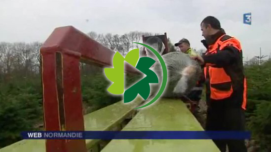 Slider web normandie 1